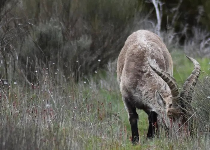 Appartement Casa Ruben Dario