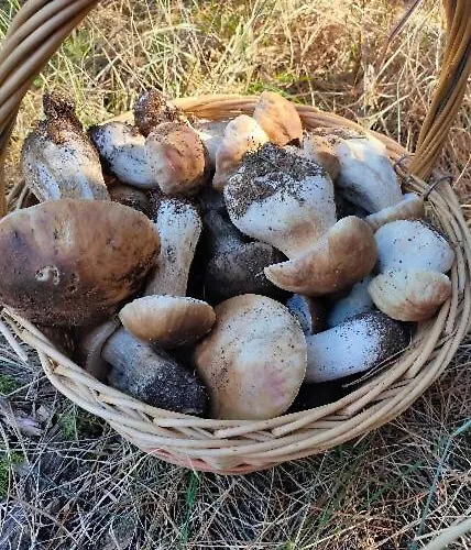 Casa Rubén Darío *